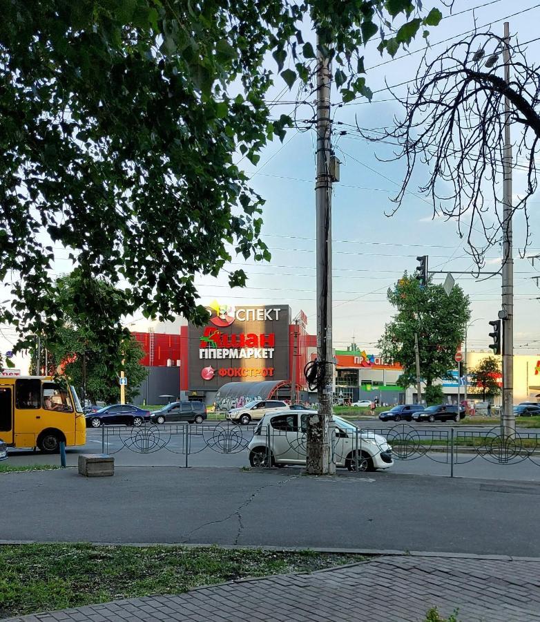 Просторі Апартаменти Kiev Buitenkant foto